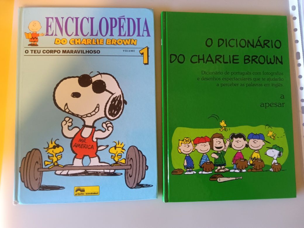 2 livros - 1 euro!