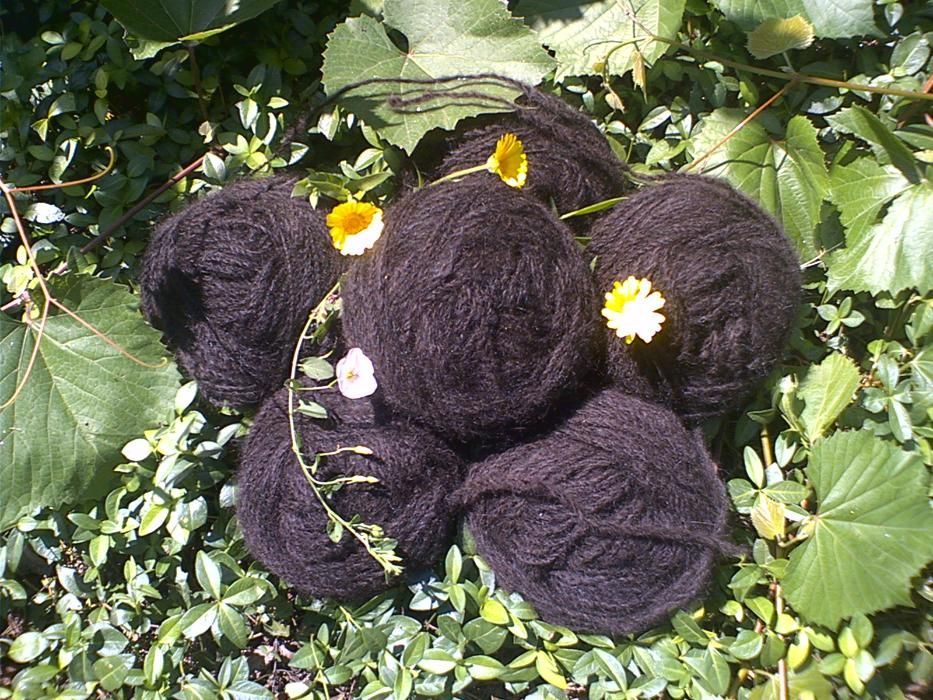 пряжа из собачьей шерсти