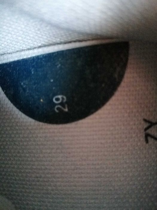 Sneakers n. 29 Zippy Novas