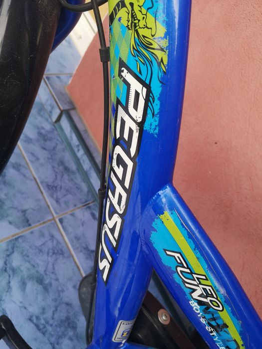 Rower dziecięcy Pegasus