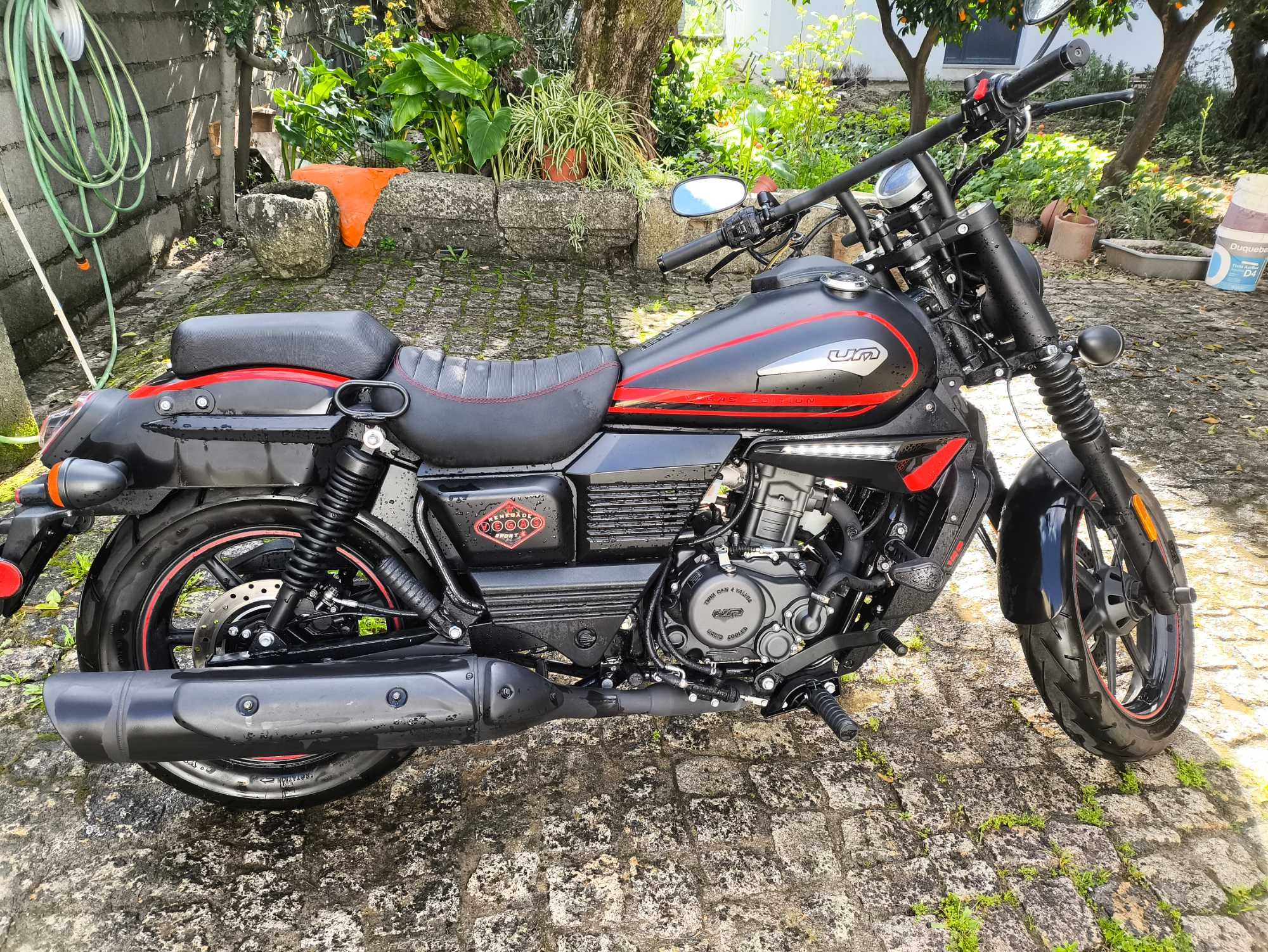 UM renegade Vegas 125