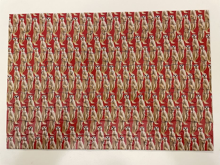 Impossipuzzle - Meerkats - 100 el.