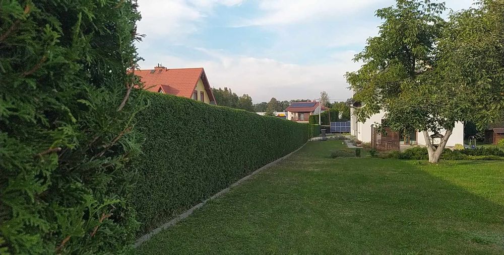 Usługi ogrodnicze - zakładanie ogrodów, pielęgnacja, przycinanie tuj