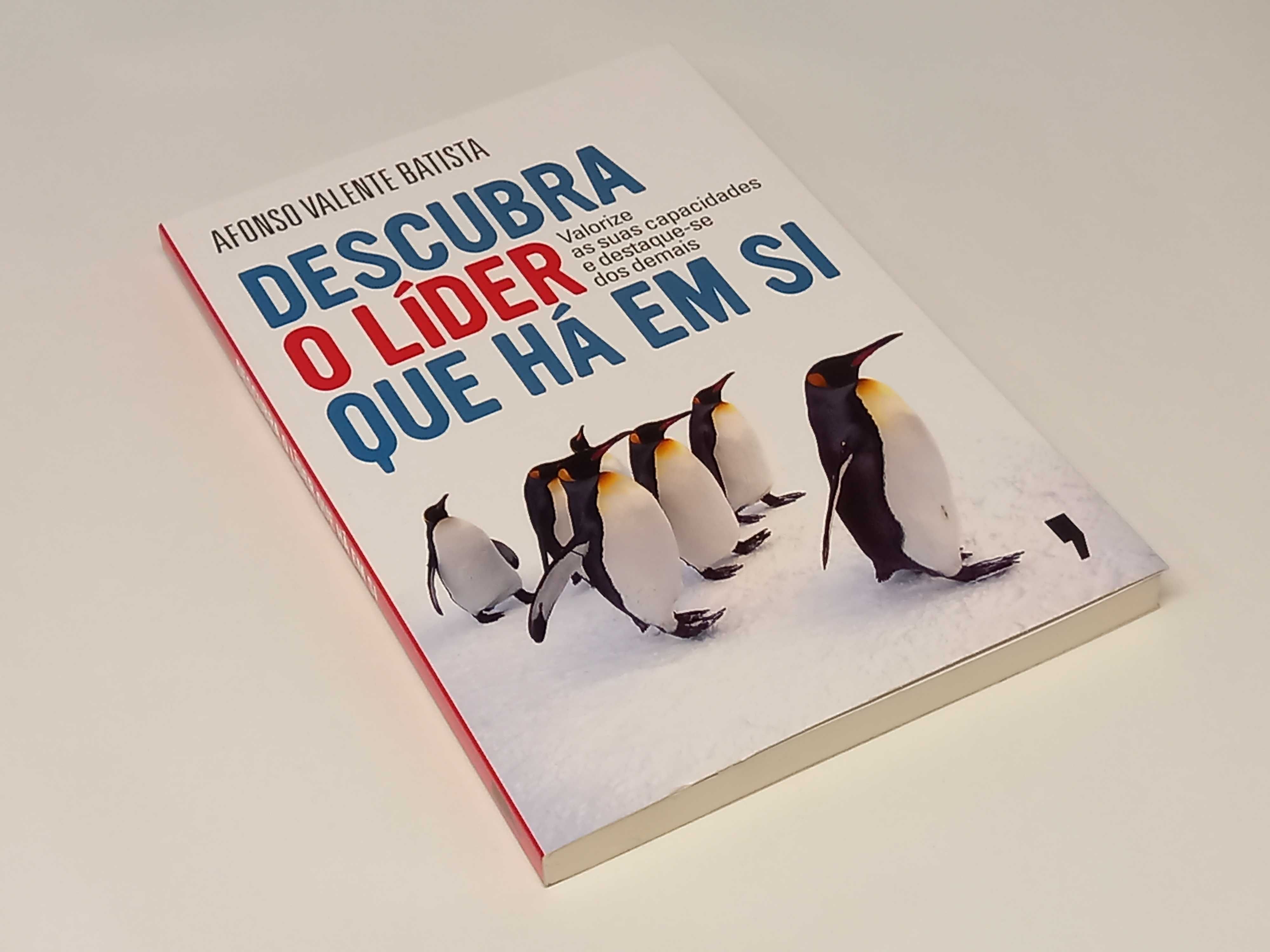 Descubra o Líder que Há Em Si - Afonso Valente Batista