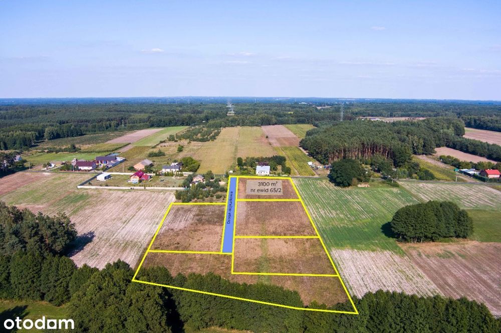 Działka rolno-budowlana w Stoki, gm. Drużbice, k.