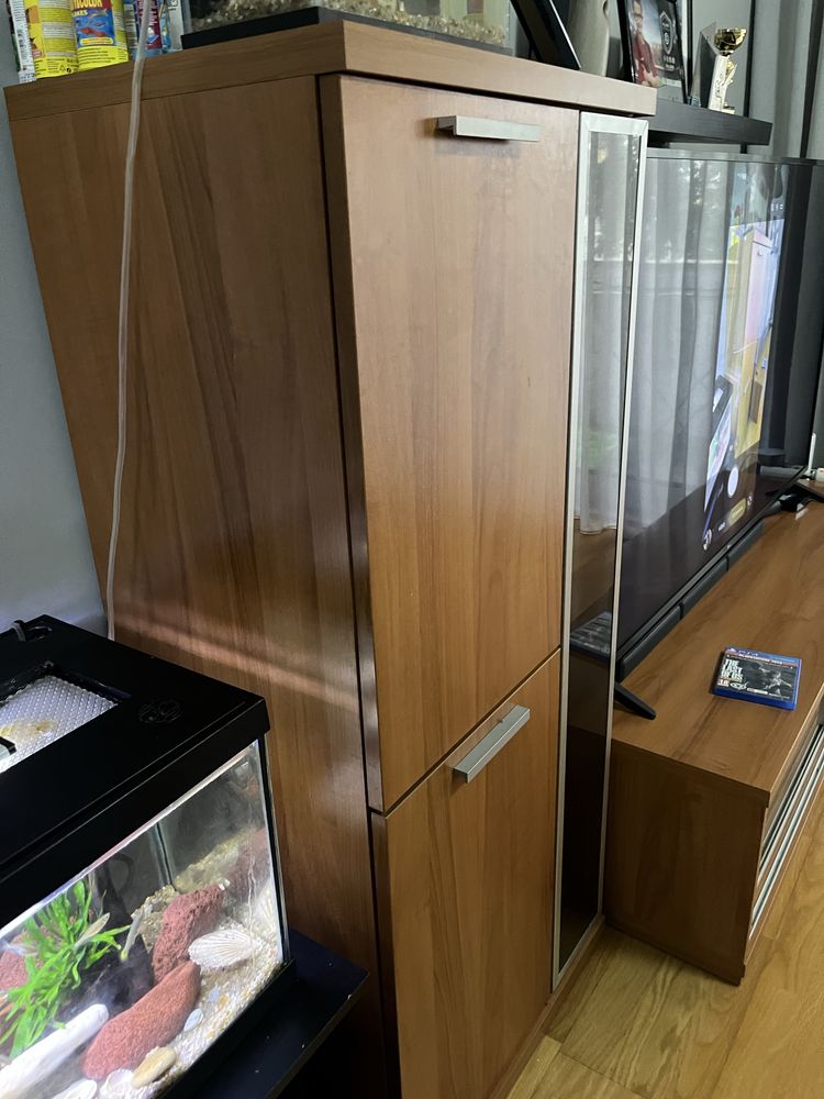 Conjunto de sala ( mesa de centro , movel apoio televisao , vitrine)