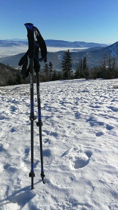 NOWE Kijki Trekkingowe Nordic Walking Składane Do Chodzenia Po Górach