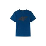 Koszulka T-shirt 4F z nadrukiem męska sportowa: różne rozmiary