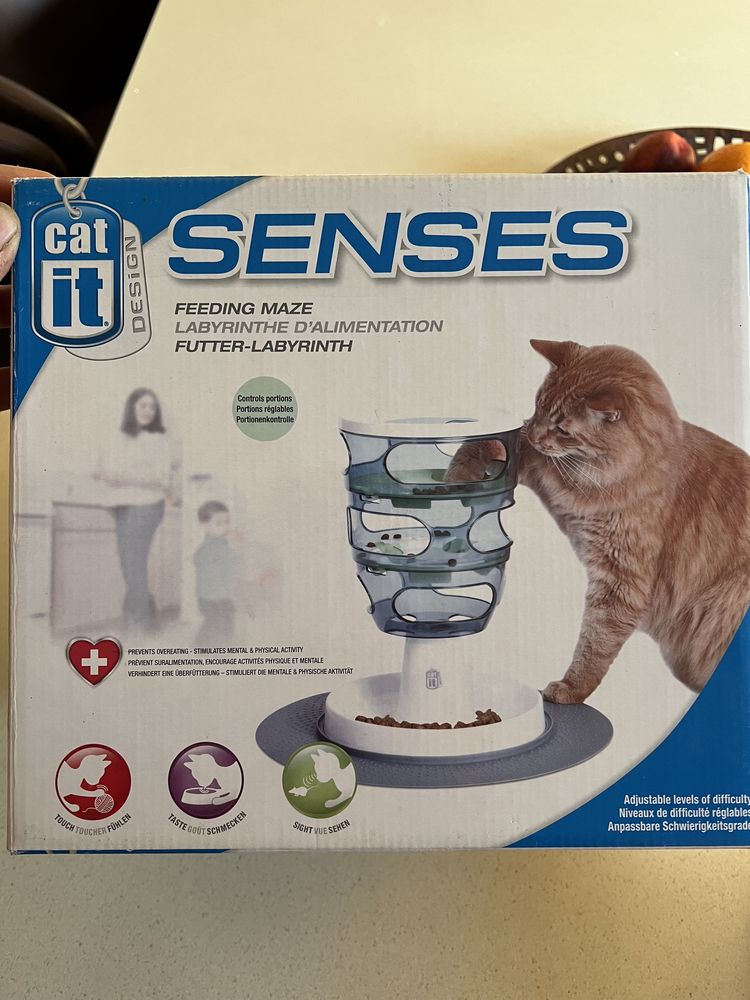Cat it senses  -Gato