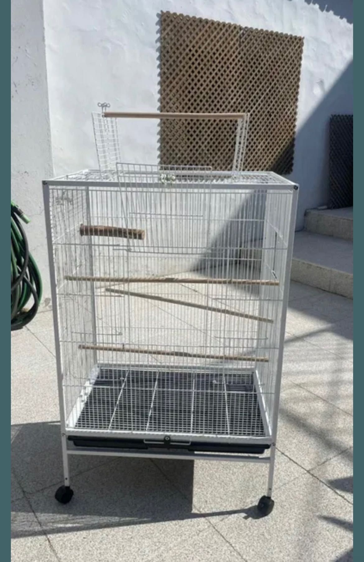 Kit gaiola casal Agapornis e comida
