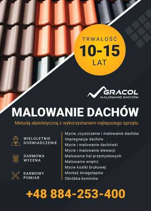 Malowanie dachów,elewacji, Montaż rynień-sniegołapów,naprawa dachów
