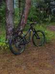 Dartmoor Hornet Pro 2023 Custom