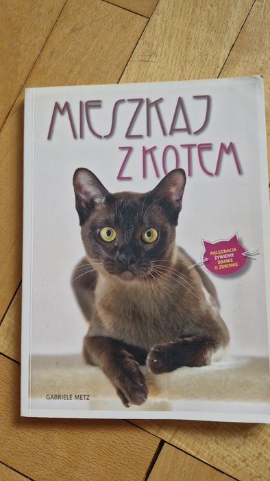 Mieszkaj z kotem