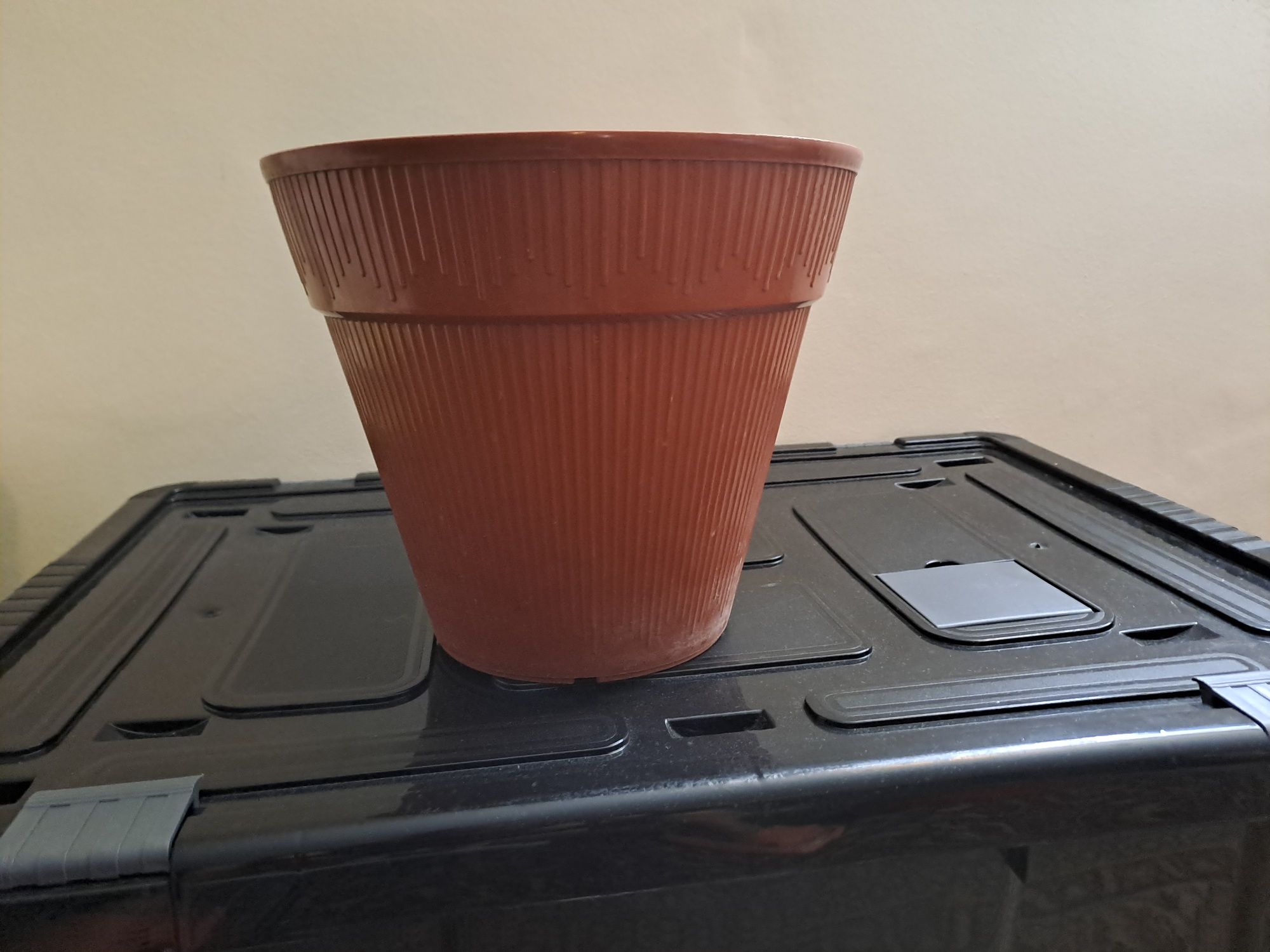 Vasos de plantas