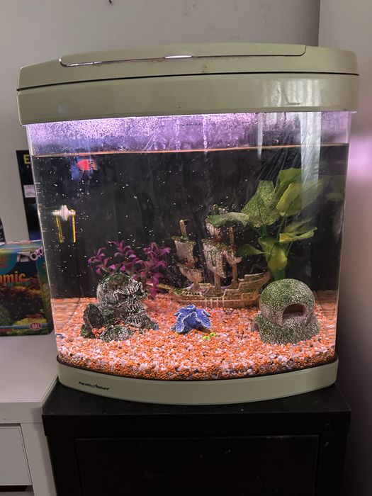 Aquario e tartarugueira