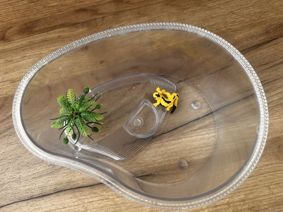 Акваріум, тераріум