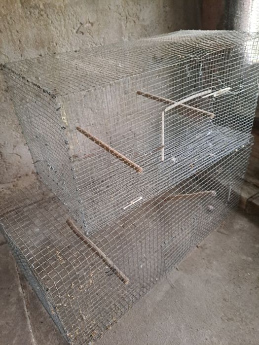 Varias gaiolas para dispensar