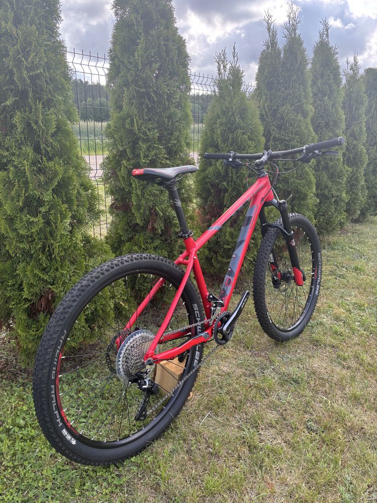 Bergamont Roxter 7.0