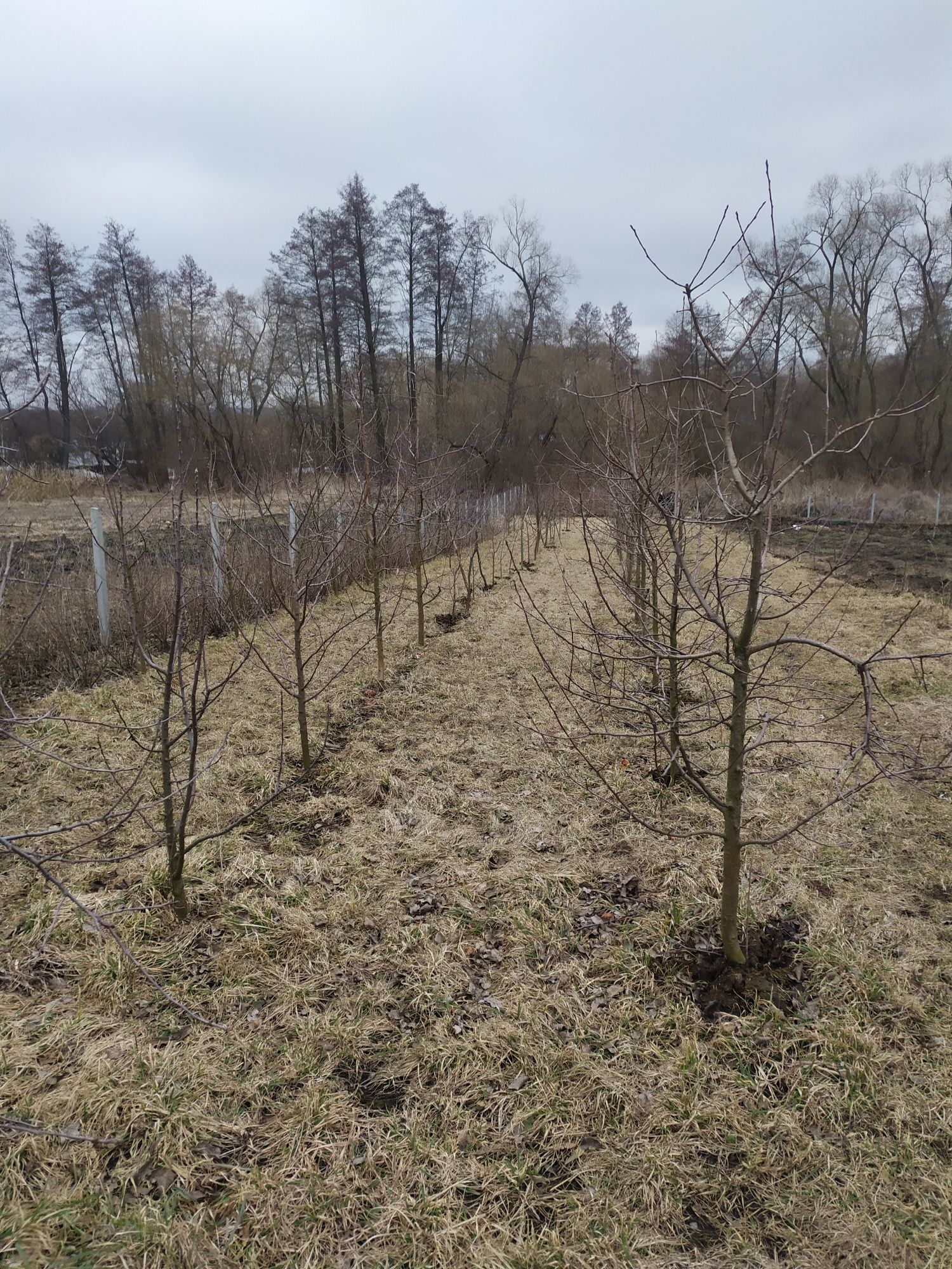 Продам будинок в селі Широка Гребля Вінницького району.