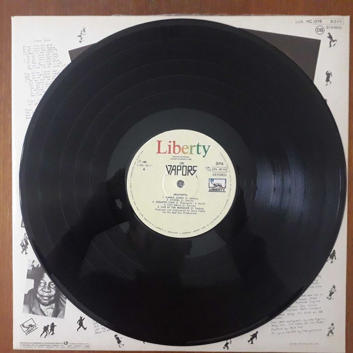 The Vapors disco de vinil "Magnets"