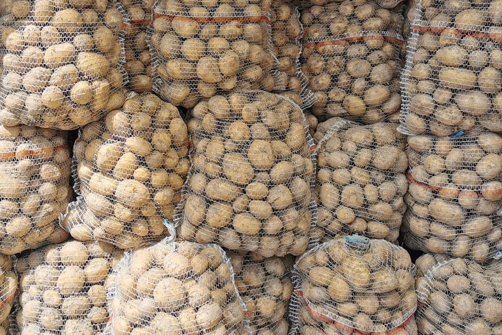 Ziemniaki worek 15 kg