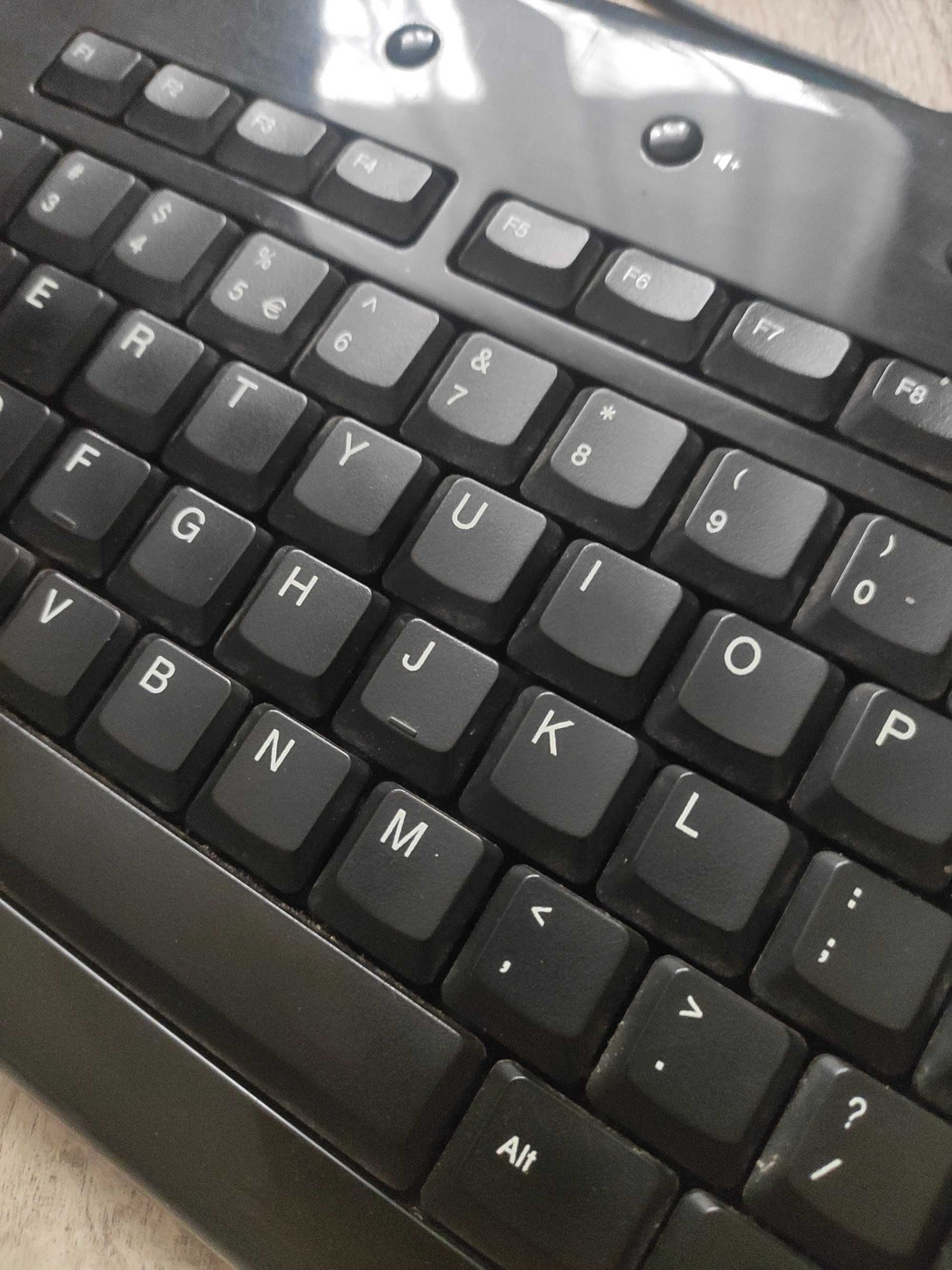 Klawiatura Samsung pleomax USB