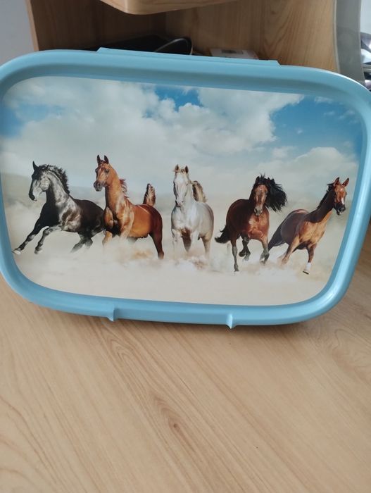 Śniadaniowka z motywem koni