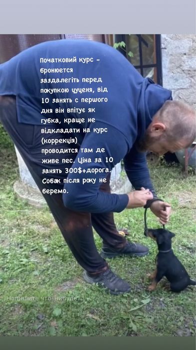 Закарпатский собачий цертр Alfa