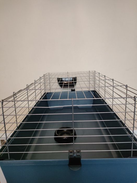 Klatka  dla królika , świnki morskiej nowa.