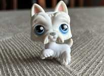 Littlest Pet Shop #24 Westie Scottish West Highland White Terrier pies