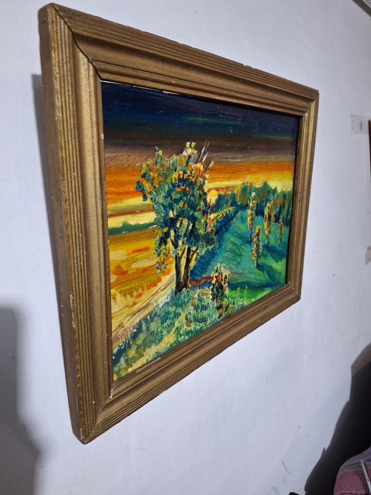 Картина (Захід сонця) олія 30× 40