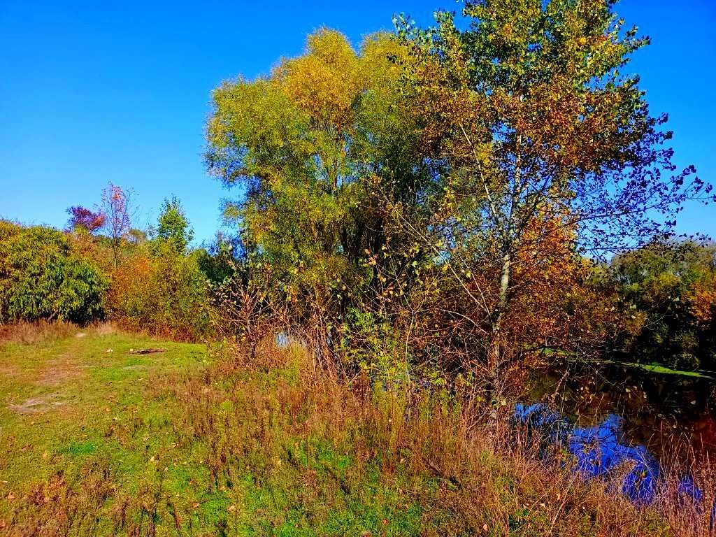 TO Земельна ділянка на мальовничому березі ріки Снов