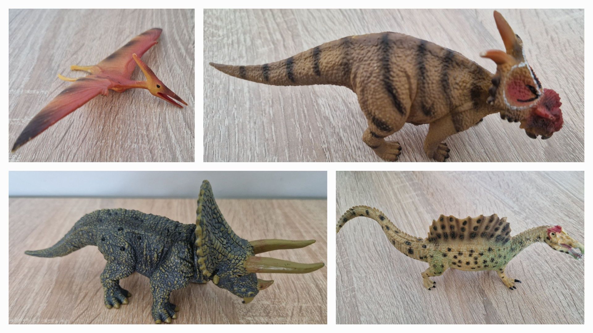 Zestaw 14 dinozaurów marki Collecta