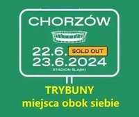Bilety VIP na koncert Dawida Podsiadło w Chorzowie (Chorzów) 23.06.