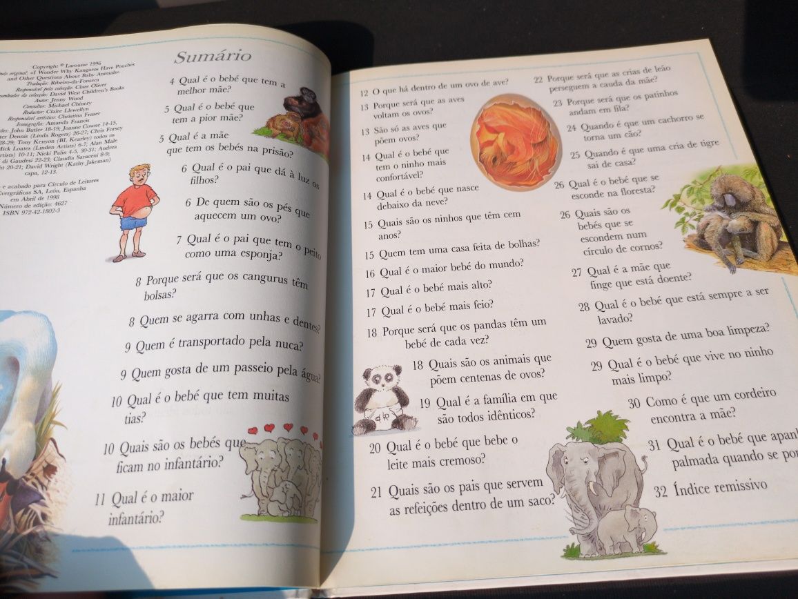 Porque Será Que os Cangurus Têm Bolsas de Jenny Wood