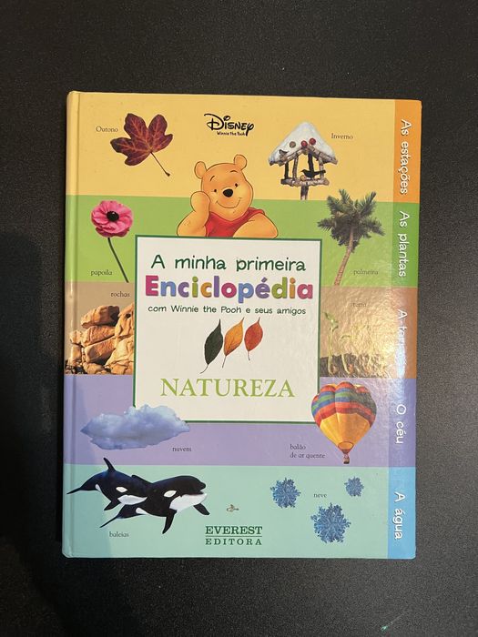 Lote de livros variados