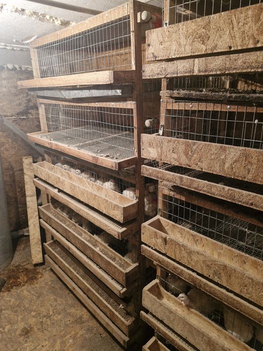 Клетки для перепелов и бройлеров