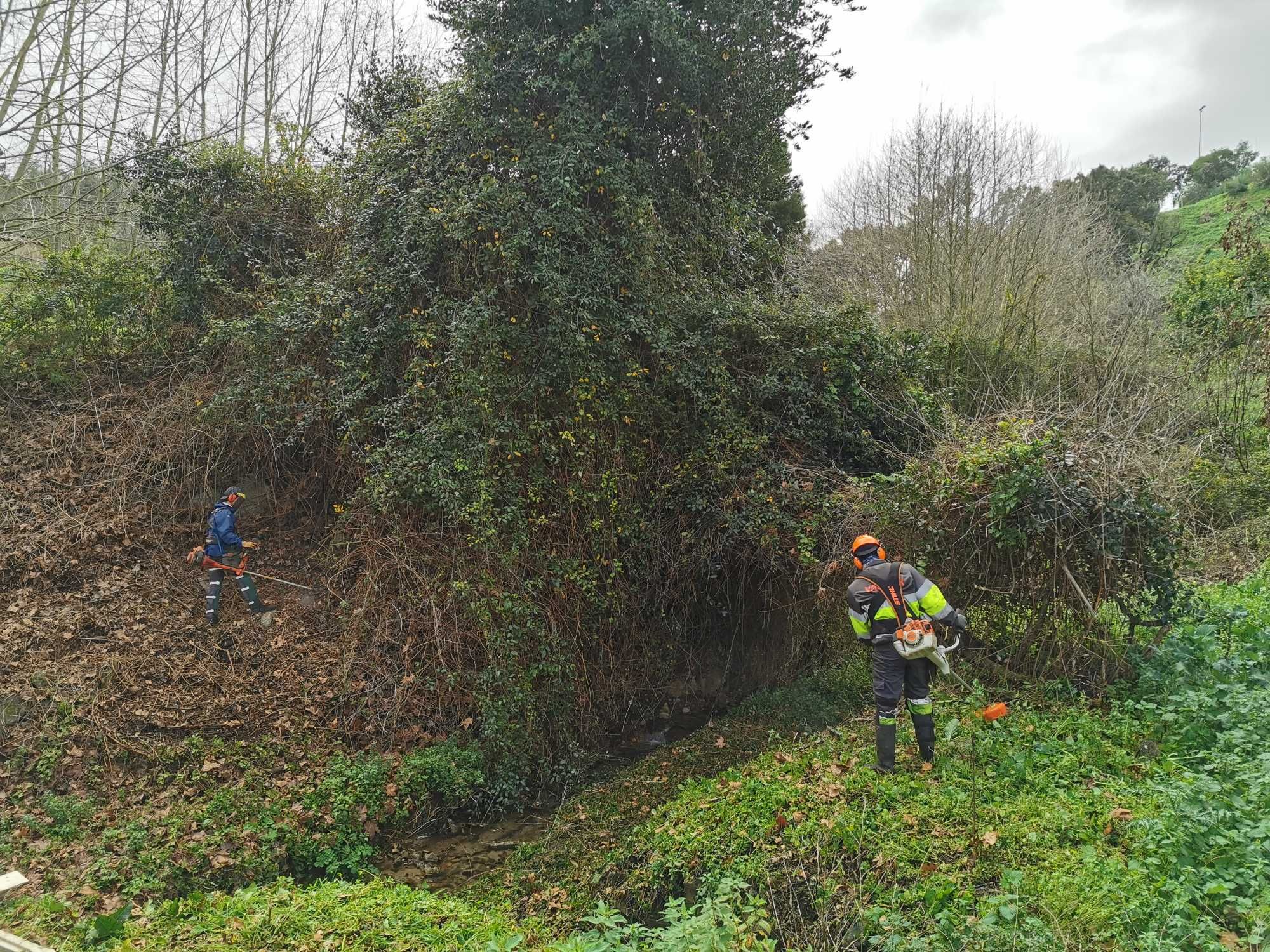 Limpeza de terrenos,desmatações /Landscape clearance,landscape changes