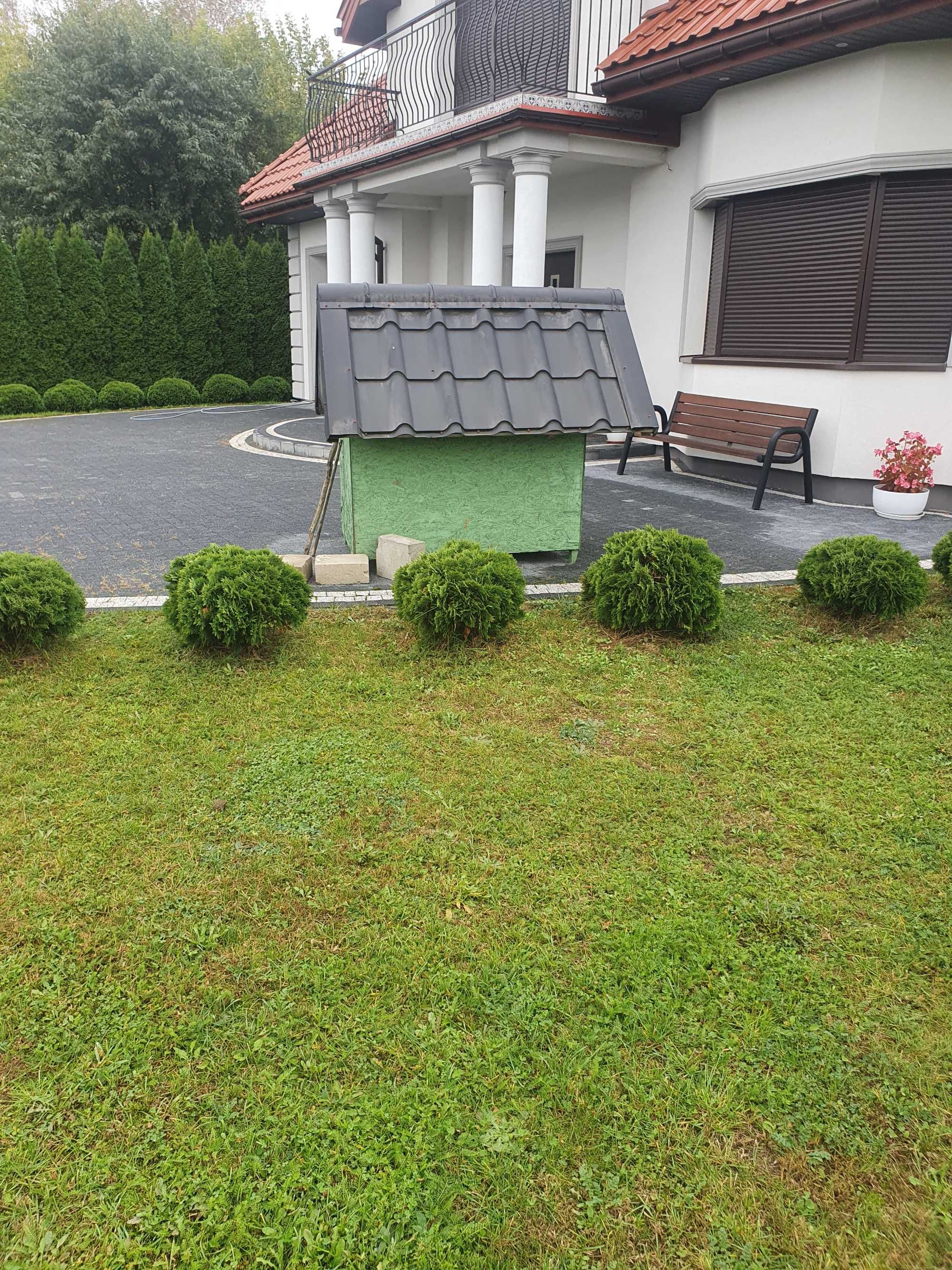 Duża wygodna buda dla psów