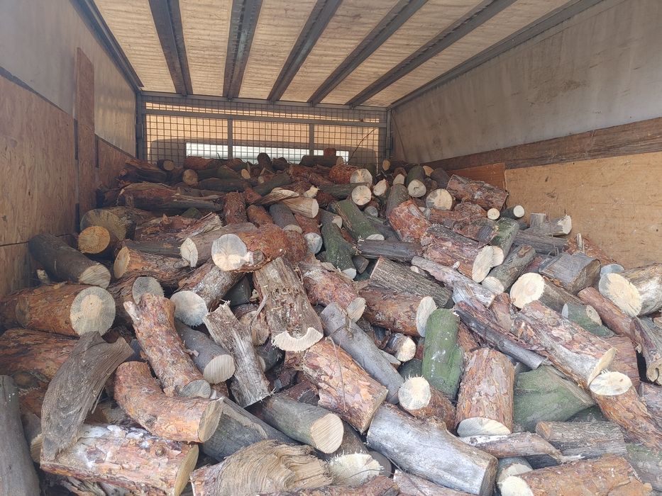 Drewno opal gałęziówka  sosna dąb pocięte