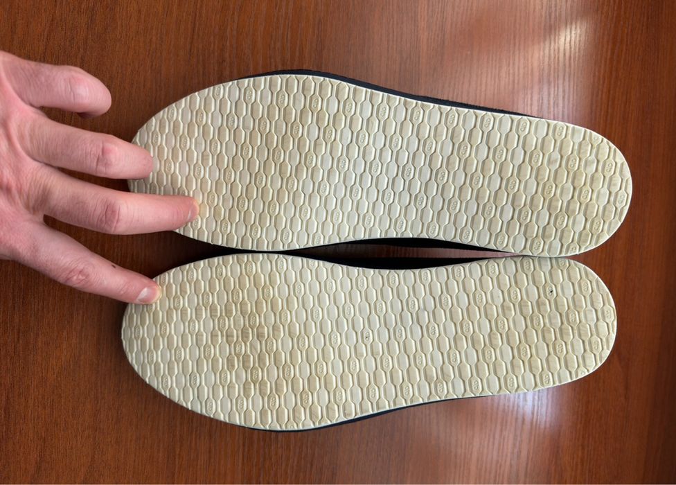 Сліпони giampieronicola