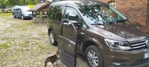 Sprzedam (bez kota, z kotem drożej)Drzwi pasażera przód caddy 2018