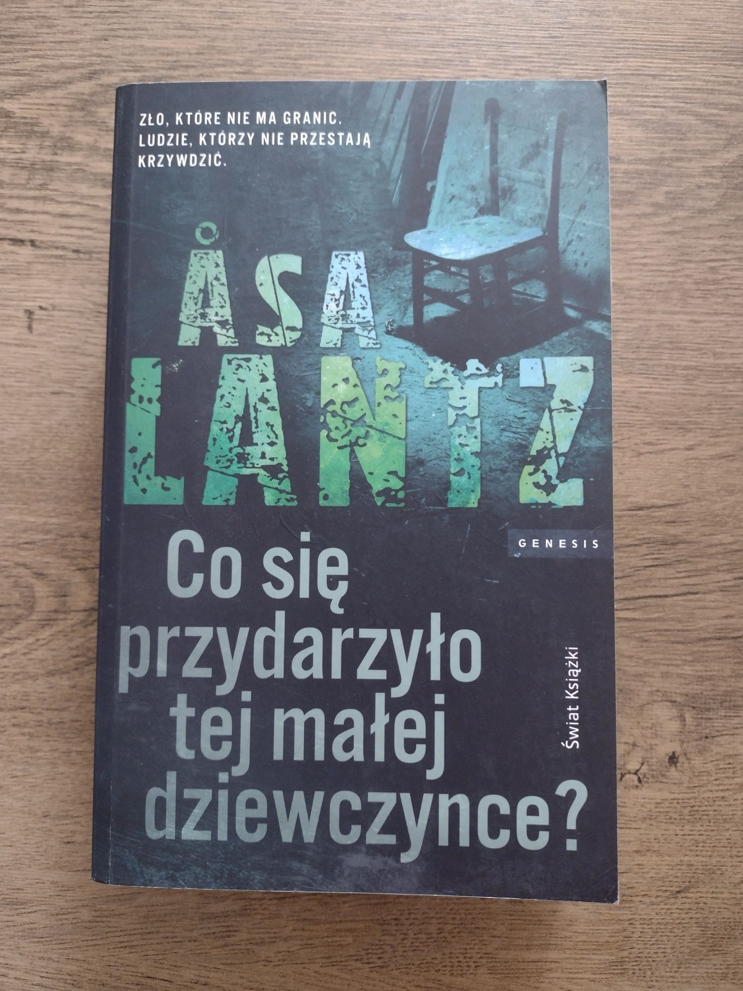 Książka thriller Co się przydarzyło tej małej dziewczynce? Asa Lantz