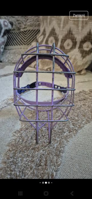 Kaganiec Chopo rottweilerka