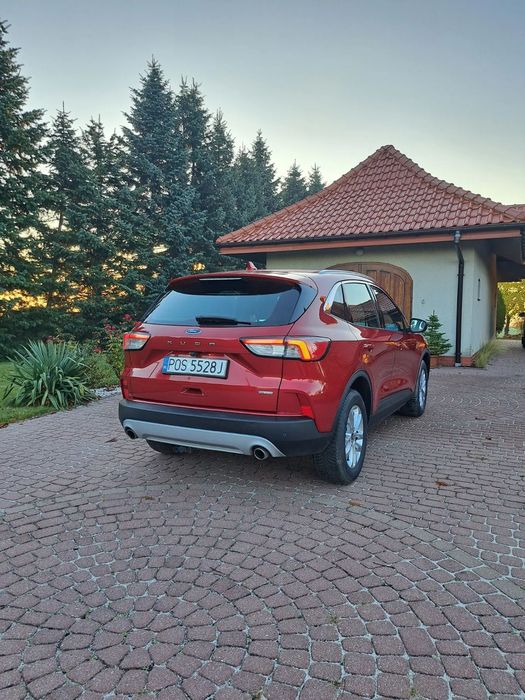 Ford Kuga Ford Kuga 2.5 hybryda FHEV