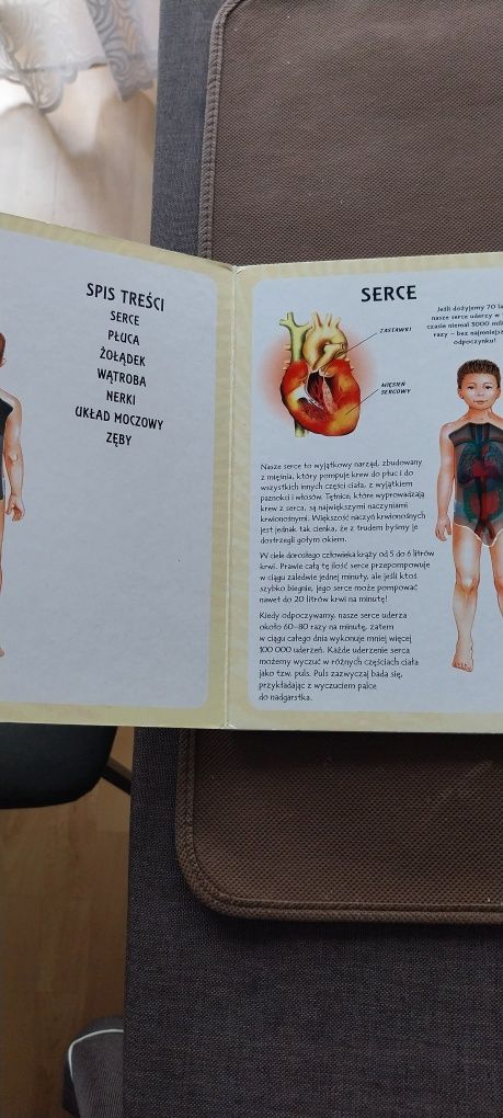 Moja pierwsza ksiazka. Ciało człowieka
