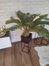 Kwiat sztuczny palma
