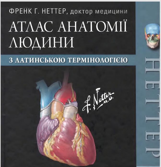 Атлас анатомії людини 2023. 7 видання. Неттер. Анатомия. Нормальная.