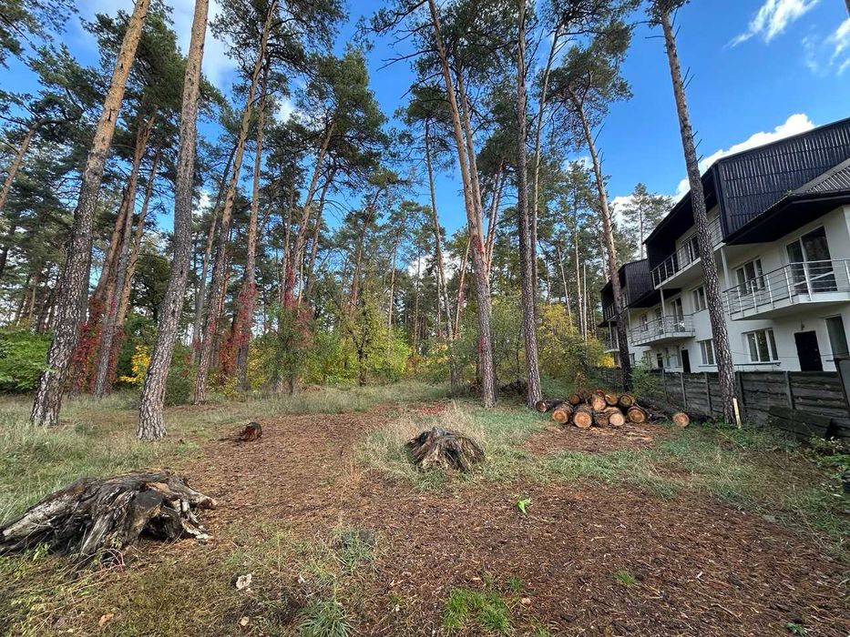 Ваш майбутній будинок у підніжжя лісу, ДВРЗ, 10 соток