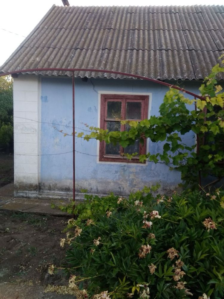 Продам будинок 50 км від Одеси